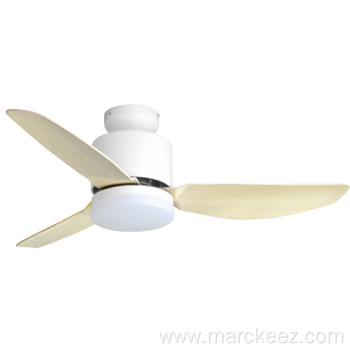 Low profile ceiling fan